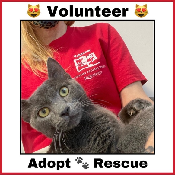 Thank You PFFS for Partying With Me 🔥🐈‍⬛ "Spice Up Your Style Posh Party" 🔥🐈‍⬛ - Picture 4 of 5